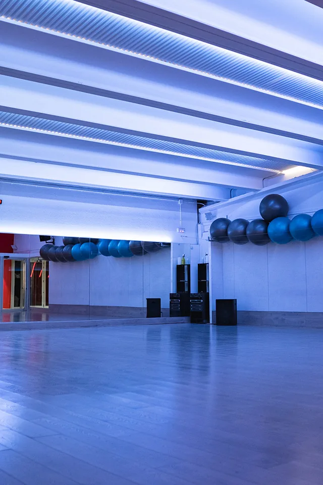 Sala Activity amb fitballs